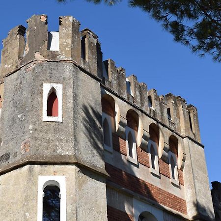 BiaudosLa Tuilerie 1860住宿加早餐旅馆 外观 照片