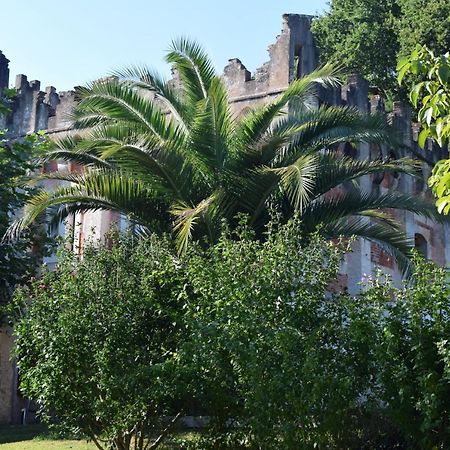 BiaudosLa Tuilerie 1860住宿加早餐旅馆 外观 照片